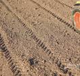 soil mix field soil mix field