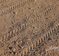 soil mix field soil mix field