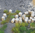 Holzfässer