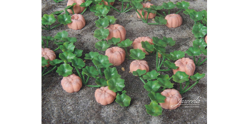 pumpkins field pumpkins field