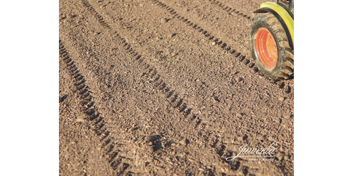 soil mix field soil mix field