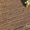 soil mix field
